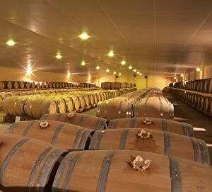 The new cellar for ageing wine in barrel, rows and rows of oak barriques Chateau