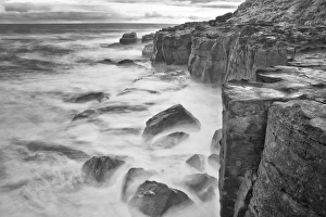 New Zealand Asia Catlins National Forest Curio Bay New Zealand Asia Catlins National Forest Curio Bay
