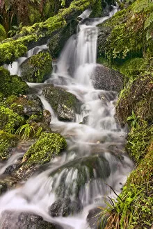 Glenorchy Gallery: New Zealand Asia Glenorchy Small Falls