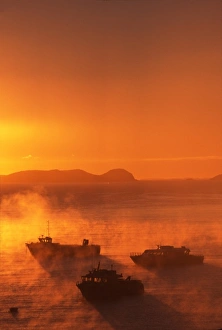 New Zealand, Misty Sunrise and Fishing Boats, Halfmoon Bay, Stewart Island / Rakiura New Zealand, Misty Sunrise and Fishing Boats, Halfmoon Bay, Stewart Island / Rakiura