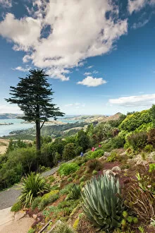 South Island Gallery: New Zealand, South Island, Otago, Otago Peninsula, Dunedin-area, Larnach Castle Gardens