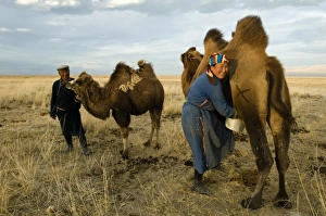 Nomad couple, Gunzel & Zandankhuu milking camels (MR) Nomad couple, Gunzel & Zandankhuu milking camels (MR)