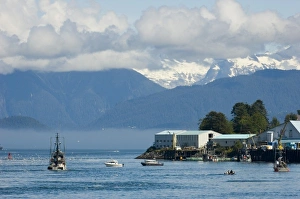 Images Dated 22nd July 2005: North America, USA, AK, Petersburg. Busy commercial fishing town