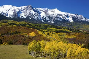 North America, USA, Colorado, Sneffells Range with Autumn Aspens and Snow capped Mountains