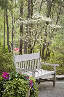 Images Dated 30th March 2007: North America, USA, Georgia, Pine Mountain. Sitting bench in garden
