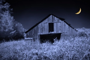 North America, USA, North Carolina, digitally altered infrared image of an old barn in the fall North America, USA, North Carolina, digitally altered infrared image of an old barn in the fall