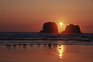 Images Dated 29th August 2003: North America, U.S.A. Oregon Sunset and twin rocks along the Oregon coast