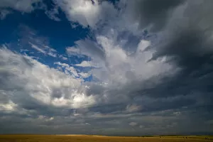 Images Dated 1st August 2010: North America, USA, South Dakota, Summer morning massive cloud formations over wheat