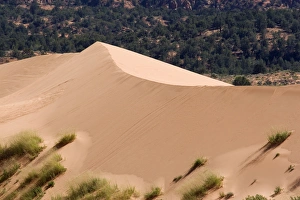North America - USA - Utah - Coral Pink Sand Dunes State Park North America - USA - Utah - Coral Pink Sand Dunes State Park