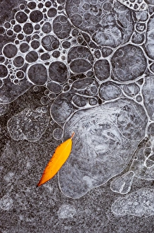 North America, USA, Utah, Mill Creek, Abstract nature North America, USA, Utah, Mill Creek, Abstract nature