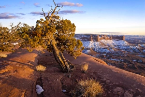 North America, USA, Utah. Overlook vista with cliffs, juniper, and snow during spring North America, USA, Utah. Overlook vista with cliffs, juniper, and snow during spring