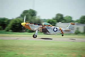 Landing Collection: North American P-51-D Mustang Fighter