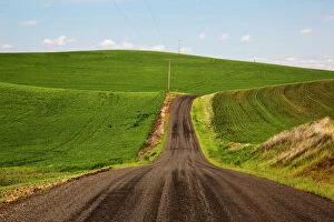 Backroad Gallery: North Amnerica; USA Washington; Palouse Country; Back road through the Wheat fields