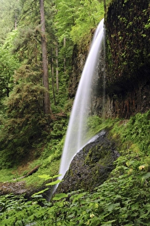 North Falls, Silver Falls State Park, Oregon, USA North Falls, Silver Falls State Park, Oregon, USA