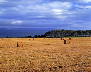 Northern Ireland, County Londonderry. Golden hay rolls contrast with a deep blue Northern Ireland, County Londonderry. Golden hay rolls contrast with a deep blue
