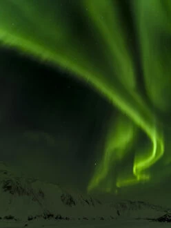 Vatnajokull Gallery: Northern Lights or aurora borealis near Hoefn, over the mountains of Vatnajoekull NP during Winter
