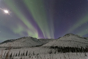 Northern Lights shimmer over the White Mountain National Recreation Area north of Northern Lights shimmer over the White Mountain National Recreation Area north of
