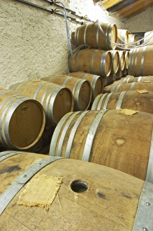 Oak barrique barrels with fermenting white wine, bung hole covered with jute Chateau Oak barrique barrels with fermenting white wine, bung hole covered with jute Chateau