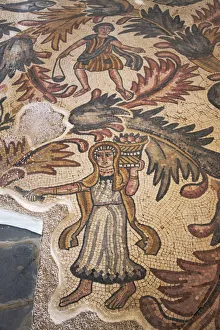 Old Baptistery floor mosaic in Moses Memorial Church, Amman, Jordan Old Baptistery floor mosaic in Moses Memorial Church, Amman, Jordan