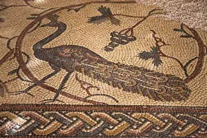 Old Baptistery floor mosaic in Moses Memorial Church, Amman, Jordan Old Baptistery floor mosaic in Moses Memorial Church, Amman, Jordan