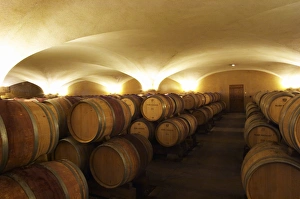 The old style vaulted barrel aging cellar with barriques pieces with maturing wine The old style vaulted barrel aging cellar with barriques pieces with maturing wine