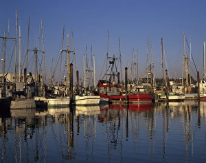 OR, Charleston, Charleston harbor with fishing boats OR, Charleston, Charleston harbor with fishing boats