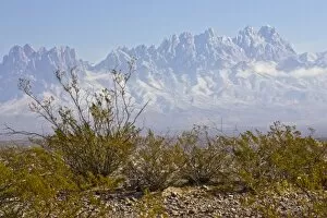 Images Dated 25th November 2007: Organ Mountains with snow and creosote bush in foreground, clouds around peaks, east of Las Cruces