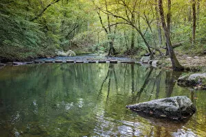 Anna Miller Collection: Otter Lake Creek boulders and reflections, Blue Ridge Parkway, Smoky Mountains, USA