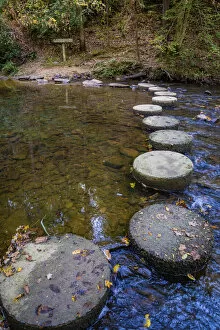 Anna Miller Collection: Otter Lake Creek stepping stones, Blue Ridge Parkway, Smoky Mountains, USA