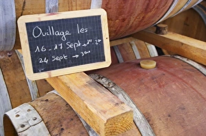 Ouillage - filling up the barrels - done 16 and 17 September. Domaine Haut-Lirou Ouillage - filling up the barrels - done 16 and 17 September. Domaine Haut-Lirou