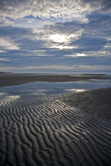 Outgoing tide reveals ripples in beach at Silver Salmon Creek, Lake Clark NP, Alaska Outgoing tide reveals ripples in beach at Silver Salmon Creek, Lake Clark NP, Alaska