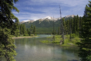 The outlet creek of Holland Lake in the Flathead National Forest near Condon, Montana The outlet creek of Holland Lake in the Flathead National Forest near Condon, Montana