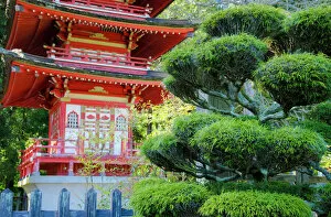 Anna Miller Collection: Pagoda, Japanese Tea Garden, Golden Gate Park, San Francisco, California, USA