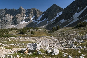 Paintbrush Canyons alpine slopes, Grand Teton National Park, Wyoming, USA Paintbrush Canyons alpine slopes, Grand Teton National Park, Wyoming, USA