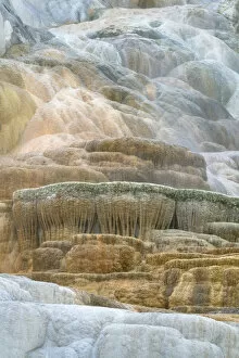 Palette Spring Terraces composed of travertine deposits colored by thermophilic bacteria