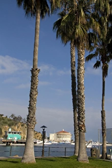 Palm trees frame Avalon Theater and Green Pier in the Avalon harbor on Catalina Island Palm trees frame Avalon Theater and Green Pier in the Avalon harbor on Catalina Island