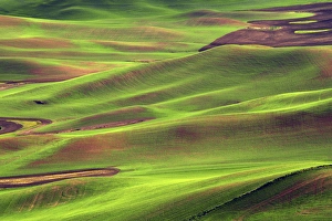 Palouse from Steptoe Butte of Cultivation Patterns, Whitman County, Washington, USA Palouse from Steptoe Butte of Cultivation Patterns, Whitman County, Washington, USA