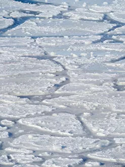 Pancake ice, new sea ice is building up. Disko Bay during winter, West Greenland