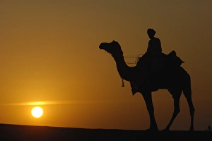 Pastoralists and their One-humped Arabian or Dromedary camels (Camelus dromedaries) Pastoralists and their One-humped Arabian or Dromedary camels (Camelus dromedaries)