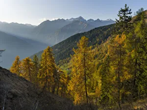 Peaks of Presanella mountain range above Val Rendena, seen from Brenta mountain range Peaks of Presanella mountain range above Val Rendena, seen from Brenta mountain range