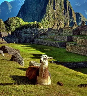 Reclining Gallery: Peru, Andes, Andes