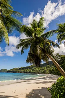 Petit Police Bay Beach, Mahe, Republic of Seychelles, Indian Ocean Petit Police Bay Beach, Mahe, Republic of Seychelles, Indian Ocean