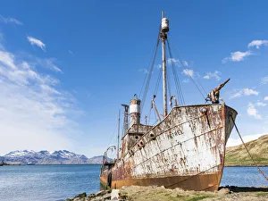 Petrel whale catcher. Grytviken Whaling Station, open to visitors, but most walls Petrel whale catcher. Grytviken Whaling Station, open to visitors, but most walls
