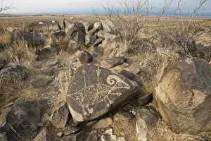 Volcanic Rock Gallery: Petroglyph at the Three Rivers Petroglyph Site near Tularosa, New Mexico