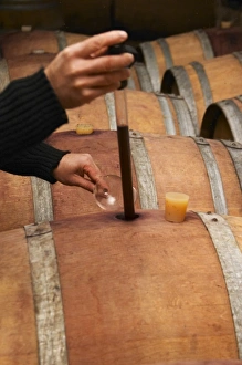 Philippe Viret taking a barrel sample of aging red wine. Domaine Viret, Saint Maurice sur Eygues Philippe Viret taking a barrel sample of aging red wine. Domaine Viret, Saint Maurice sur Eygues
