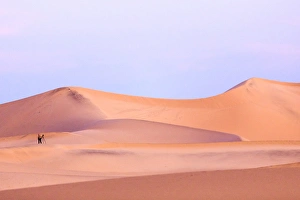 A photographer stands in sunrise light in the Mesquite Dunes, Death Valley National Park A photographer stands in sunrise light in the Mesquite Dunes, Death Valley National Park