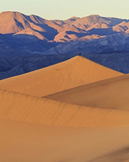 A photographer stands on top of a tall sand dune in sunrise light in the Mesquite Dunes A photographer stands on top of a tall sand dune in sunrise light in the Mesquite Dunes