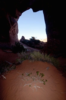 Pine Tree Arch, Arches National Park, Utah, US Pine Tree Arch, Arches National Park, Utah, US