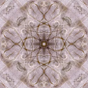 Pink and brown kaleidoscope abstract