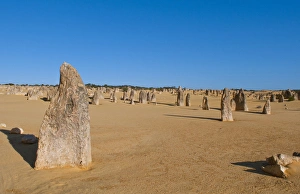 The Pinnacles a famous rock formation in Nambung National Park in Western Australia The Pinnacles a famous rock formation in Nambung National Park in Western Australia